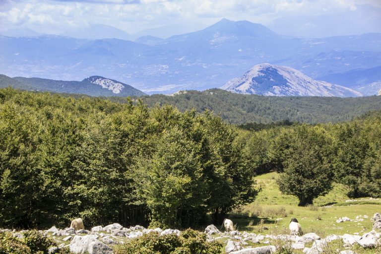 8 Cose da Non Perdere nel Parco Nazionale del Pollino