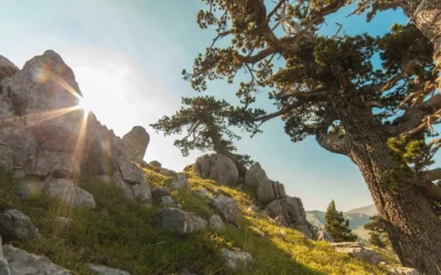 Parco del Pollino: cosa vedere in 48 ore