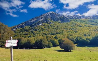 Tra Pollino e Appennino Lucano: Itinerari, Natura e Borghi da Scoprire