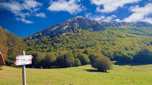 Tra Pollino e Appennino Lucano: Itinerari, Natura e Borghi da Scoprire